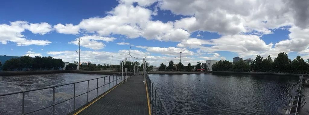 樂中環(huán)保科技污水處理問答（08）：羅茨鼓風(fēng)機(jī)的構(gòu)造，羅茨鼓風(fēng)機(jī)的優(yōu)點(diǎn)和缺點(diǎn)有哪些