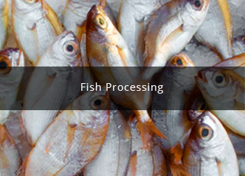 食品廠(chǎng)污水處理新思路，印度食品污水處理經(jīng)驗(yàn)淺析