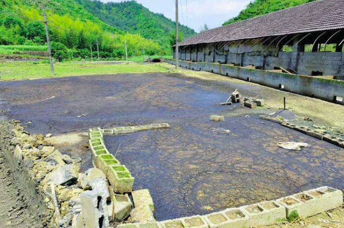 養豬污水變清水最快方法，養豬場污水處理方法有哪些-樂中環保