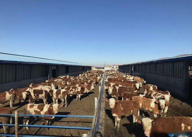 養殖場污水直接排放會面臨哪些處罰？JPEG.2