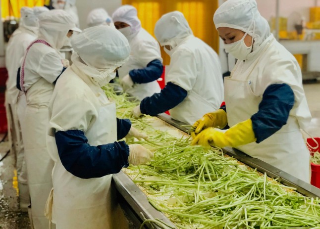 三種食品污水處理設備工藝流程，看看哪種適合您？